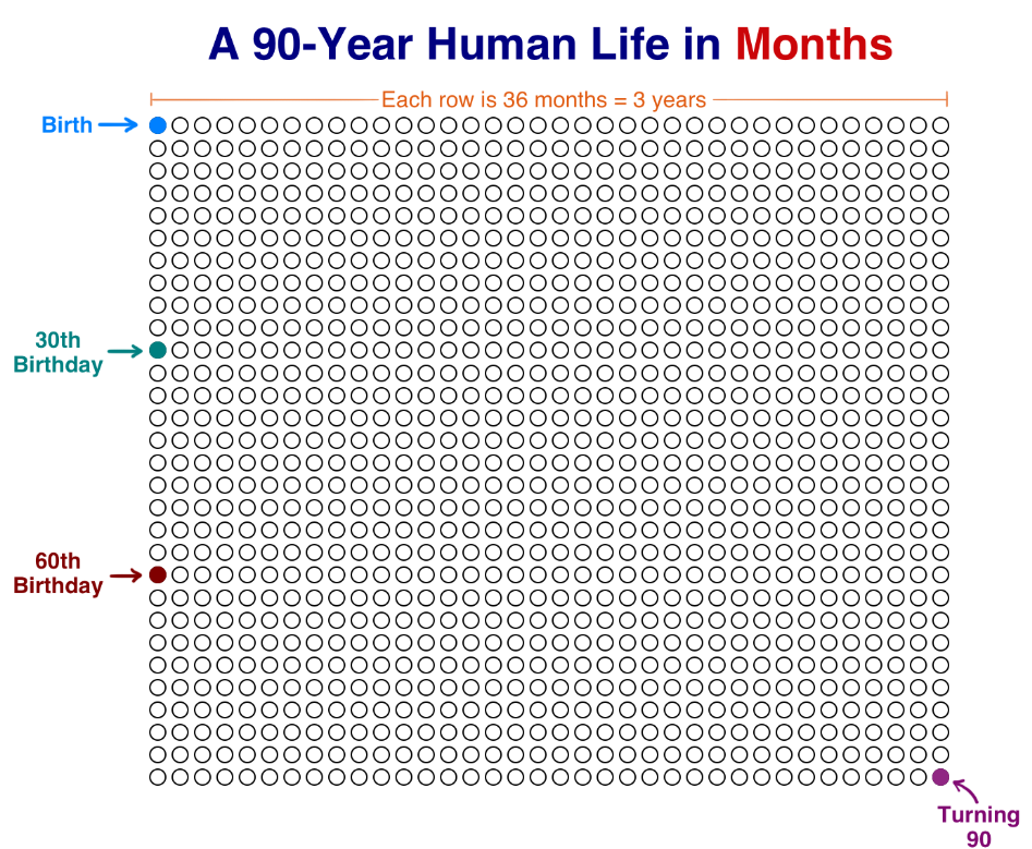 A 90-Year Human Life In Months!